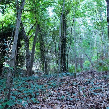 Eco Camping Juncal Marco de Canaveses Exterior photo