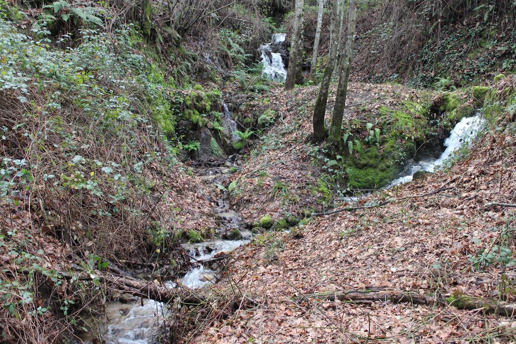 Eco Camping Juncal Marco de Canaveses Exterior photo