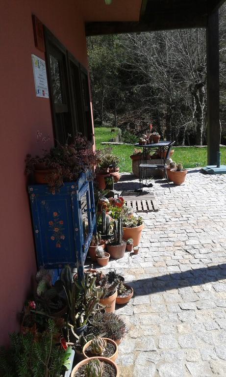 Eco Camping Juncal Marco de Canaveses Exterior photo