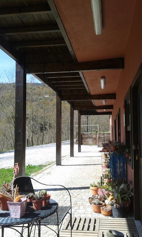 Eco Camping Juncal Marco de Canaveses Exterior photo