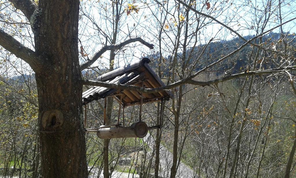 Eco Camping Juncal Marco de Canaveses Exterior photo